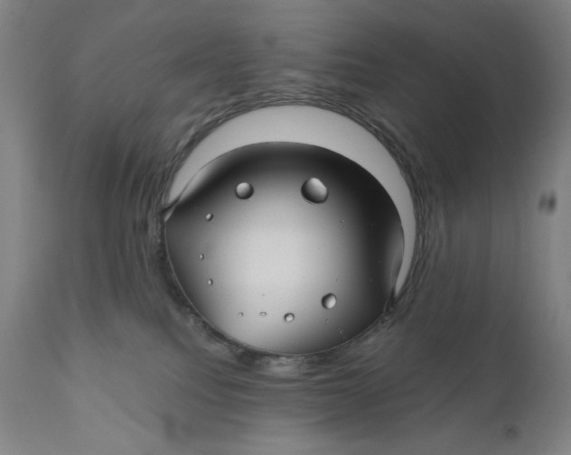 X0000111010088200907101326