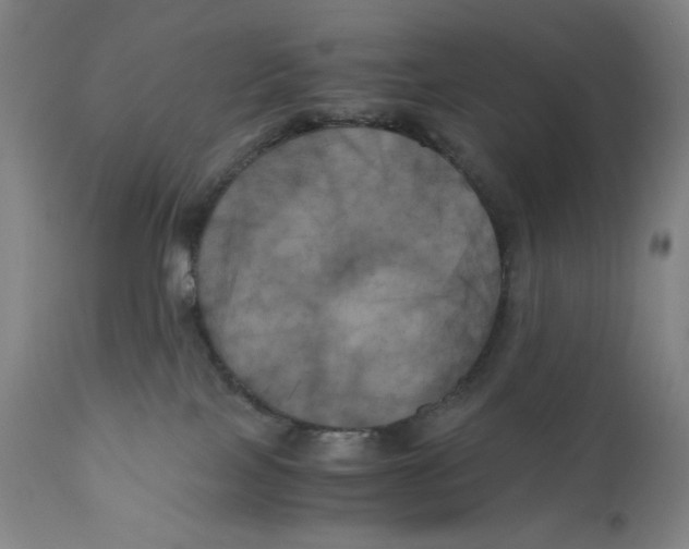X0000111010089200907101326