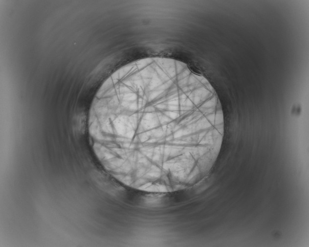 X0000111010090200907101326