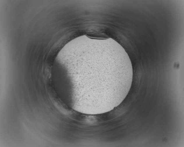 X0000111010091200907101326