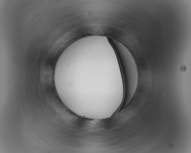 X0000111010092200907101326