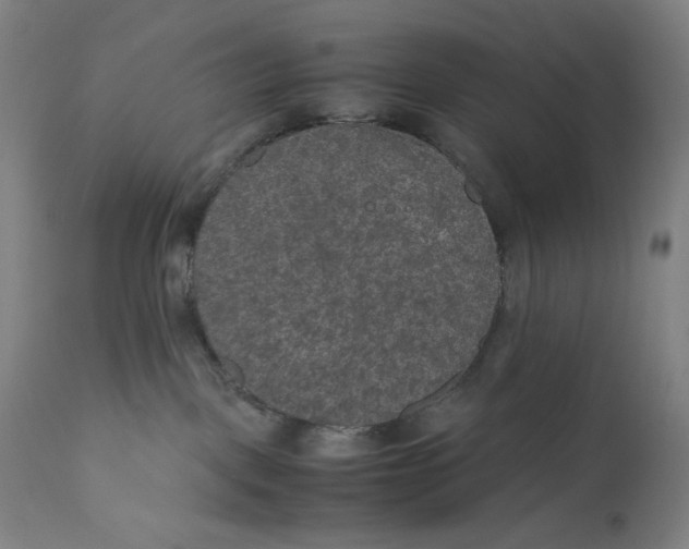 X0000111010093200907101326