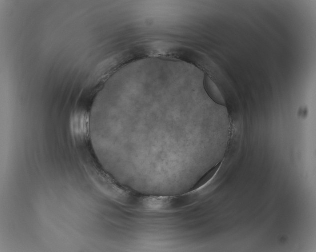 X0000111010094200907101326