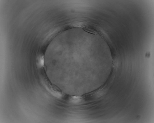 X0000111010095200907101326