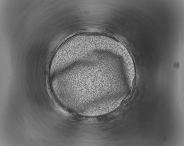 X0000111010097200907101326
