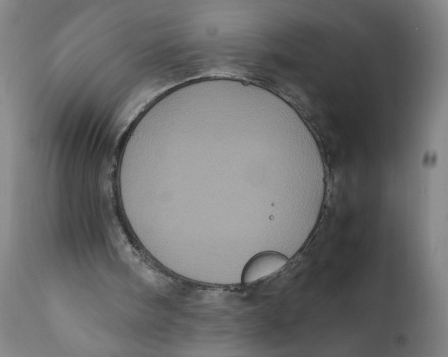 X0000111010098200907101326