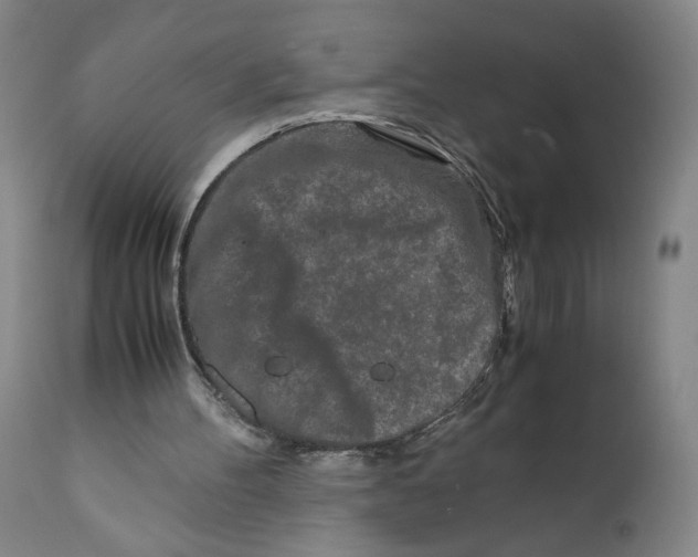 X0000111010100200907101326