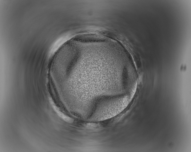 X0000111010101200907101326