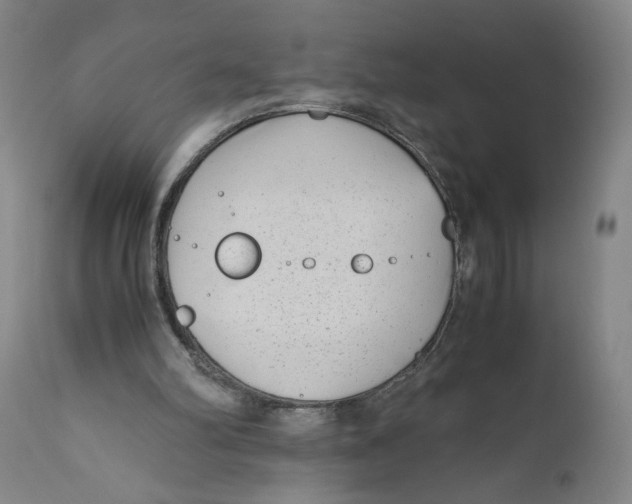 X0000111010102200907101326