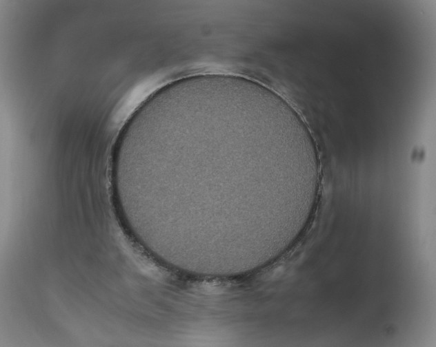 X0000111010103200907101326
