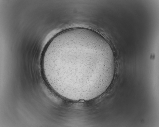 X0000111010104200907101326