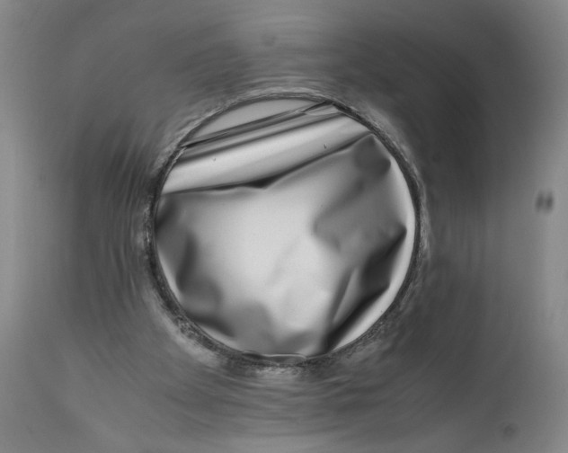X0000111010105200907101325