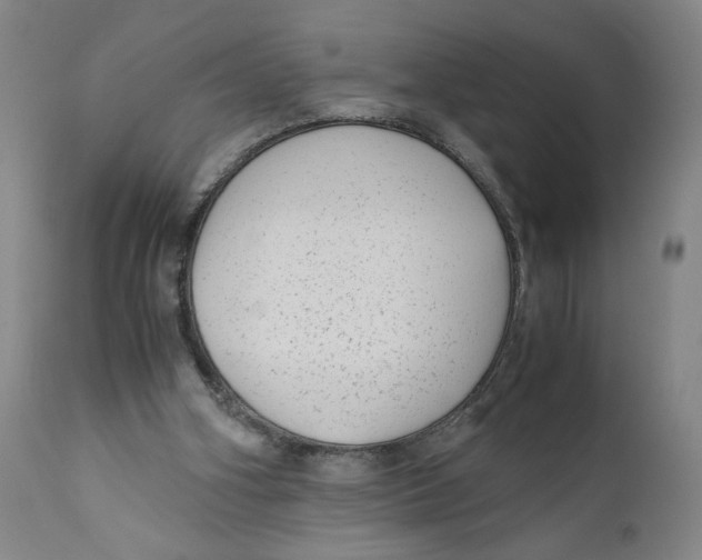 X0000111010106200907101325