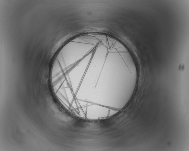 X0000111010107200907101325