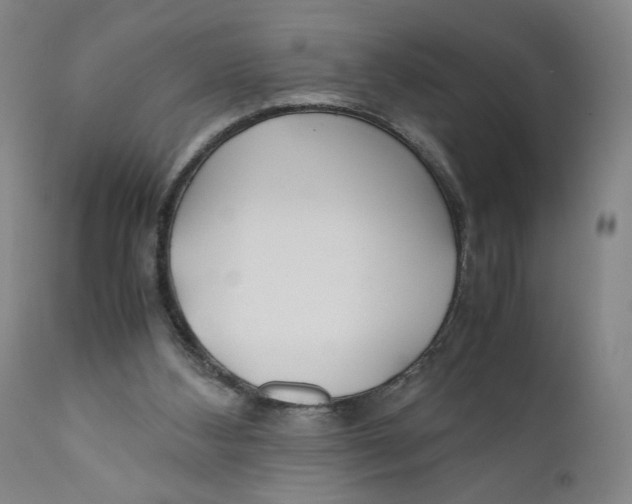 X0000111010108200907101325