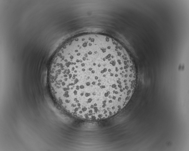 X0000111010110200907101325