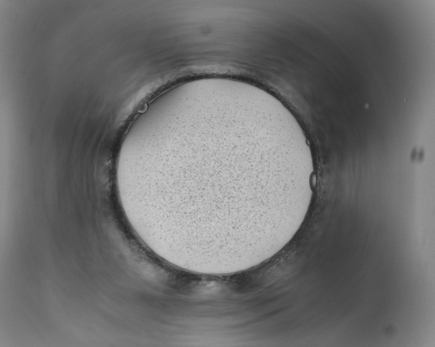 X0000111010111200907101325