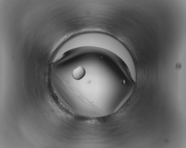 X0000111010112200907101325