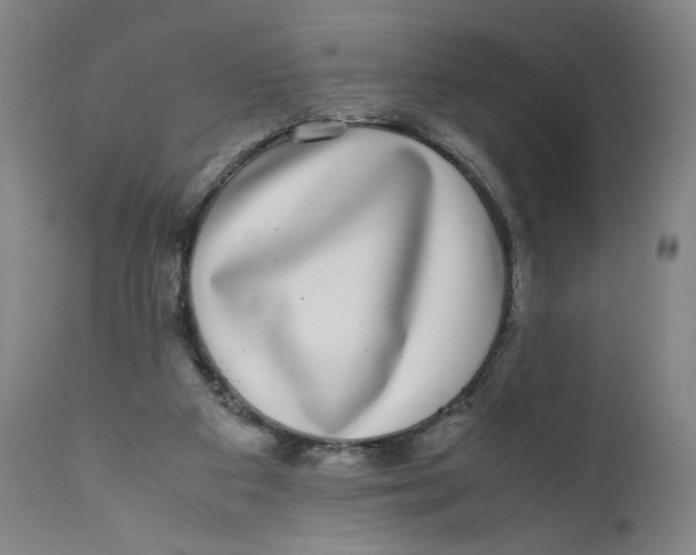 X0000111010113200907101325