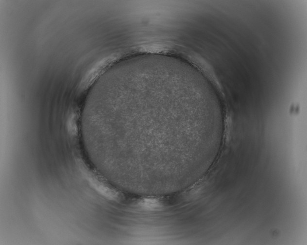 X0000111010114200907101325