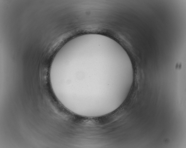 X0000111010115200907101325