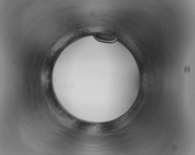 X0000111010116200907101325