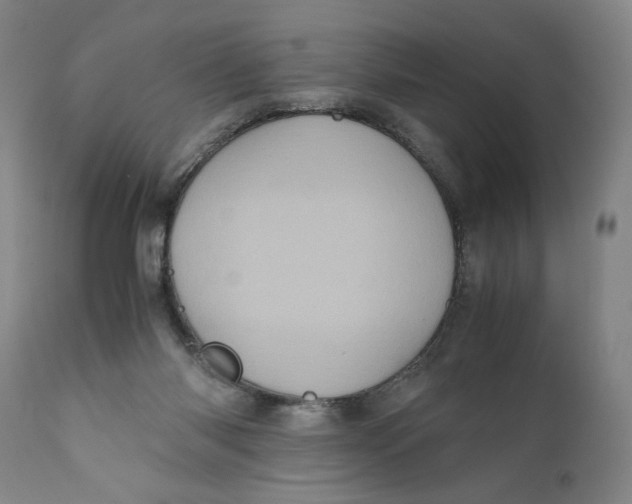 X0000111010118200907101325