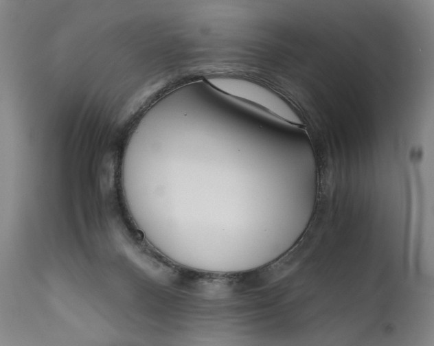X0000111010120200907101325