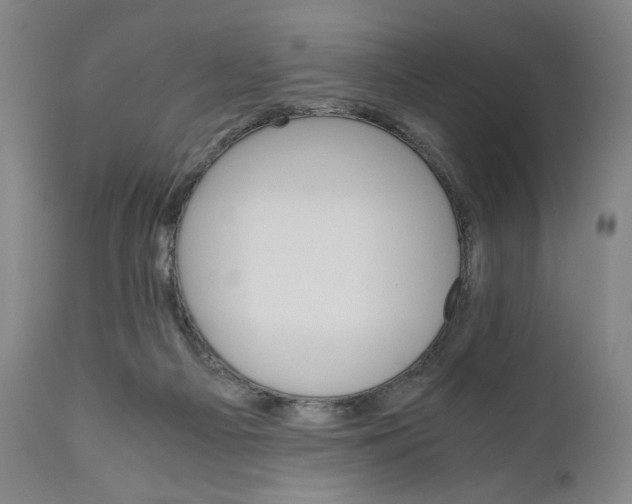 X0000111010121200907101325
