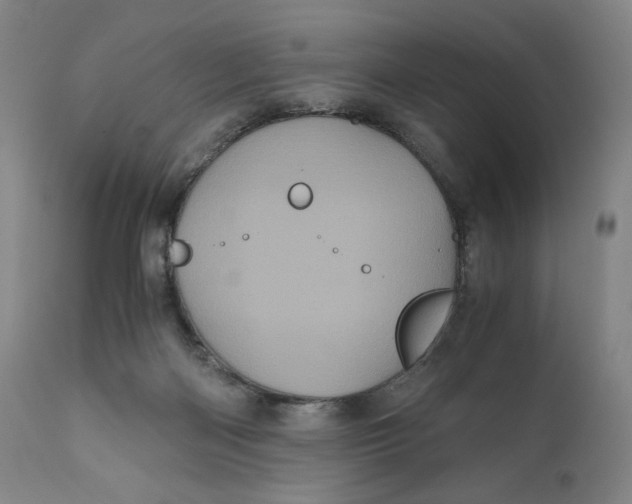 X0000111010122200907101325
