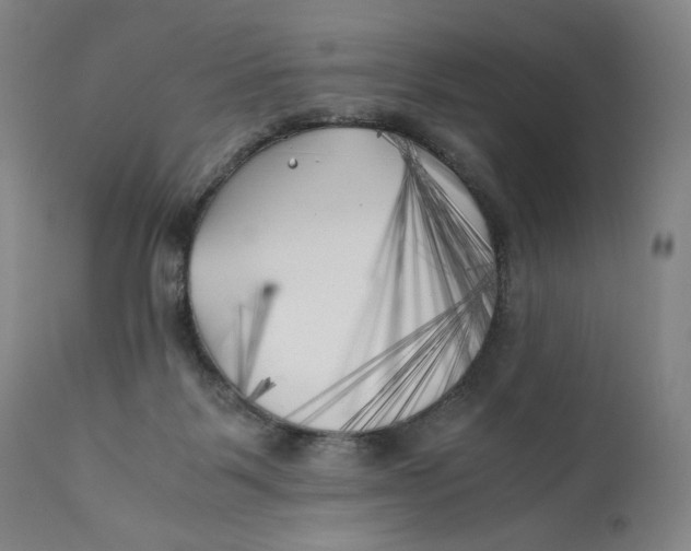 X0000111010123200907101325