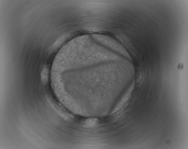X0000111010124200907101325
