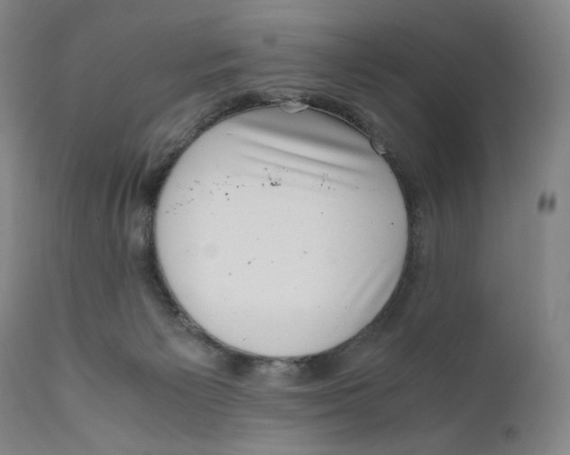 X0000111010125200907101325