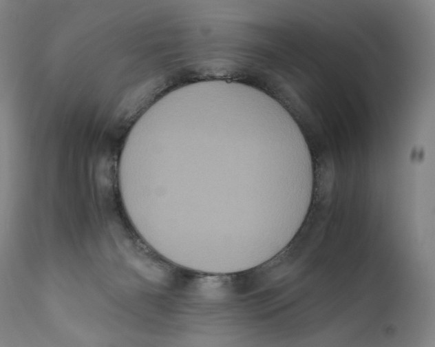 X0000111010126200907101325