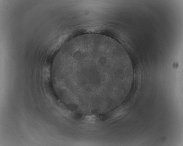X0000111010127200907101325
