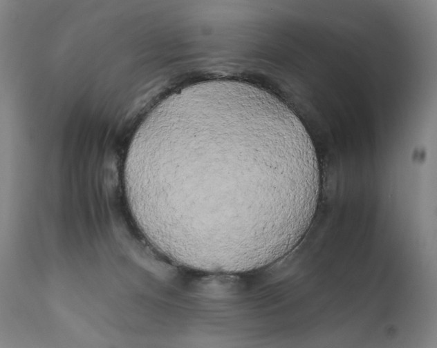 X0000111010128200907101325