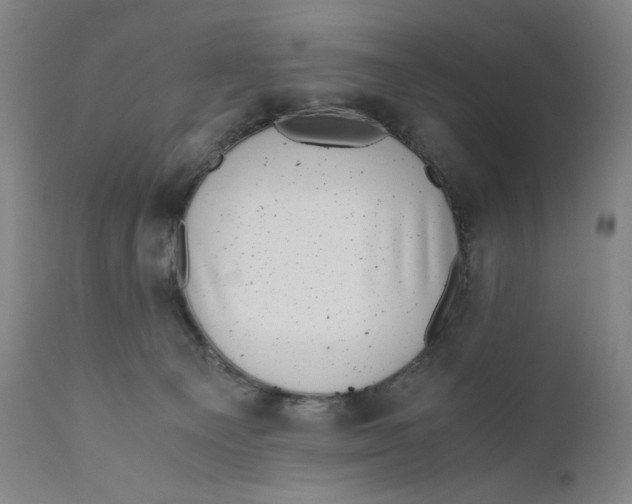 X0000111010129200907101325