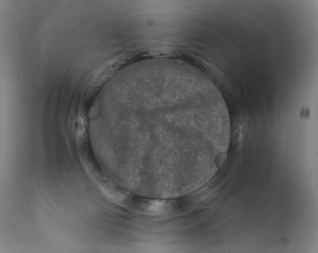 X0000111010130200907101325