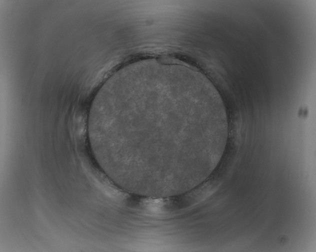 X0000111010131200907101325