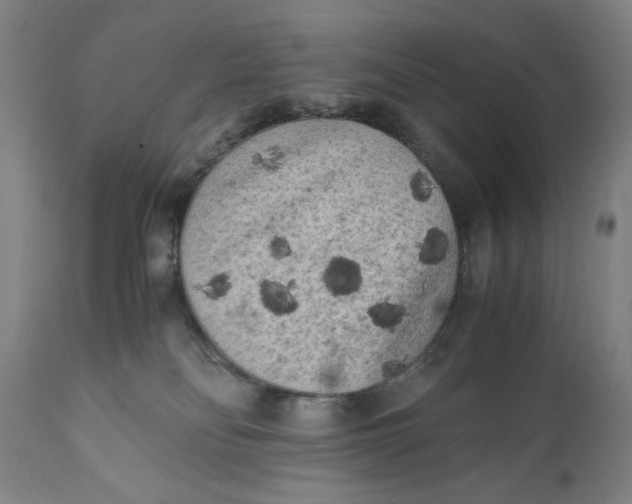 X0000111010134200907101325