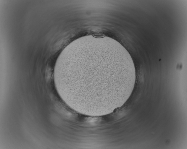 X0000111010135200907101325