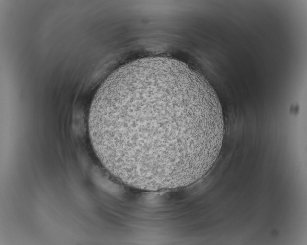 X0000111010136200907101325