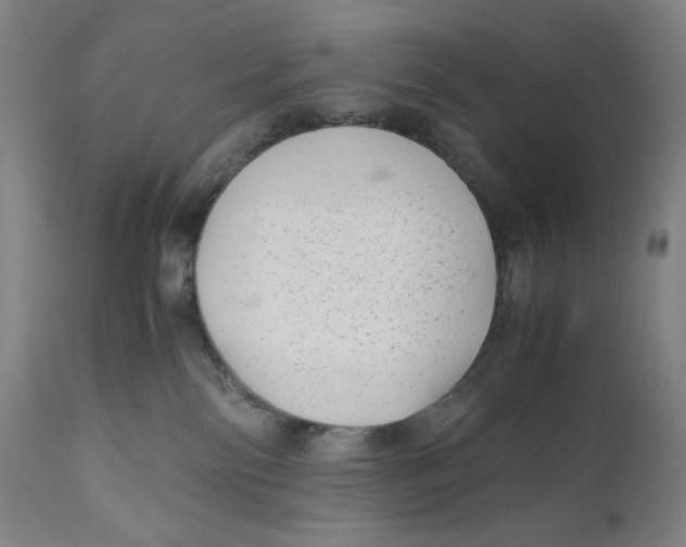 X0000111010138200907101325