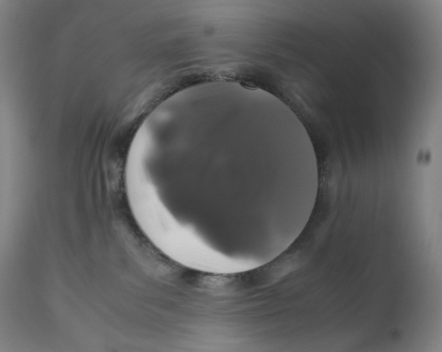 X0000111010139200907101325