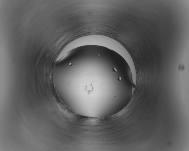 X0000111010140200907101325