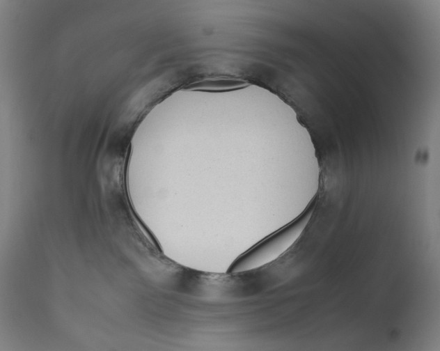 X0000111010141200907101325