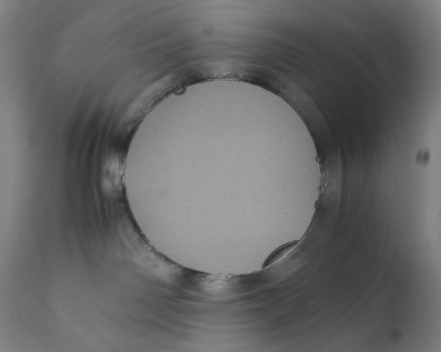 X0000111010142200907101325