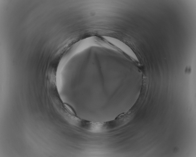 X0000111010143200907101325