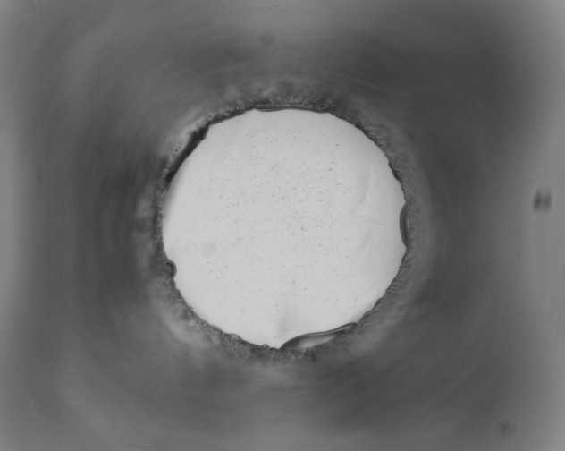 X0000111010144200907101325