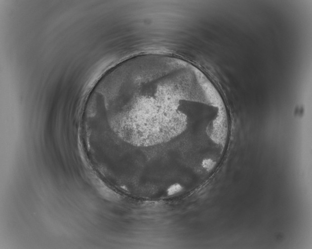 X0000111010145200907101324